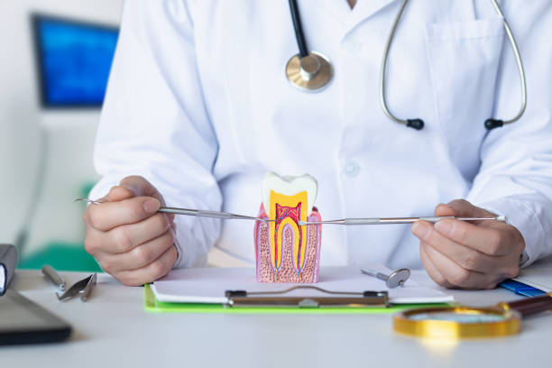 Best Emergency Root Canal Therapy in La Grange Park, IL